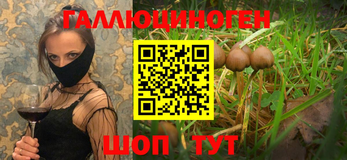 Галлюциногенные грибы GOLDEN TEACHER Алатырь